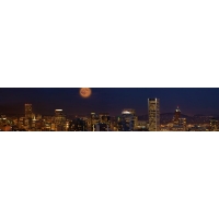 Фартук из стекла с фотопечатью 01-00-73