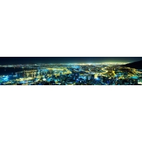 Фартук из стекла с фотопечатью 01-01-30