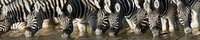 Фартук из стекла с фотопечатью 77-00-39
